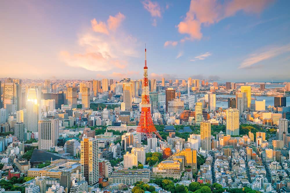 Tokyo skyline with Tokyo Tower at twilight in Japan
