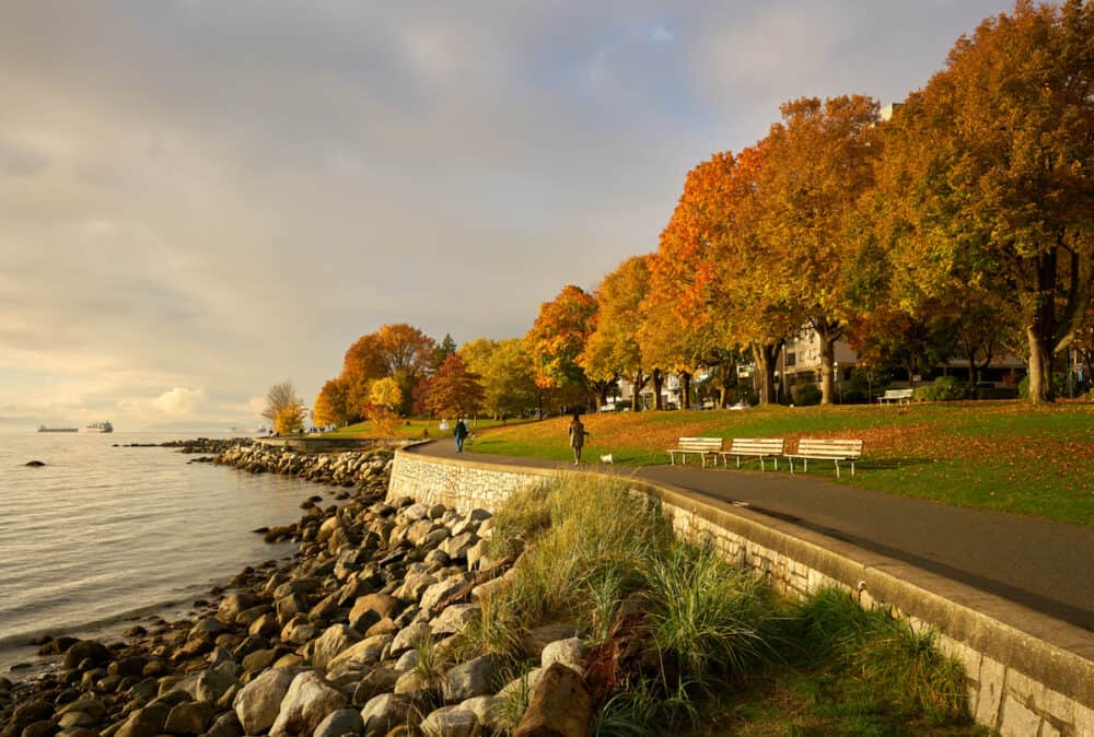 Stanley Park Seawall Path Autumn. Autumn leaves line the Stanley Park seawall in Vancouver's West End, Vancouver, Canada.