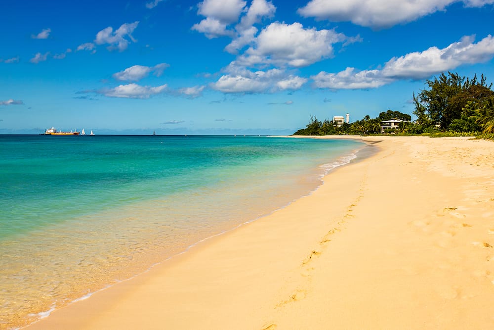 Beach in Barbados Island, Caribbean Island landscape