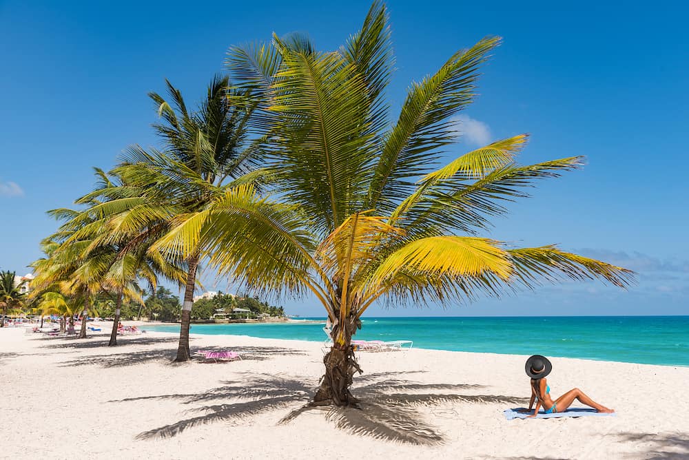 Caribbean tropical beach destination in Barbados, cruise activity. Woman sunbathing relaxing tanning under palm tree on sand on Dover beach, famous resort tourist attraction.