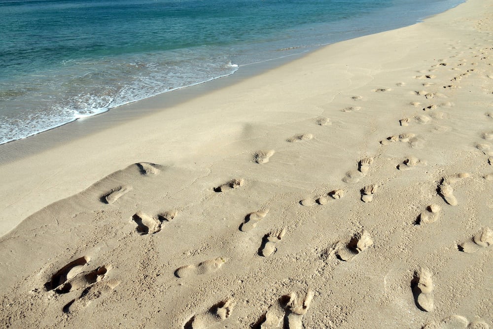 Footsteps on Mullins Beach in Barbados, Caribbean