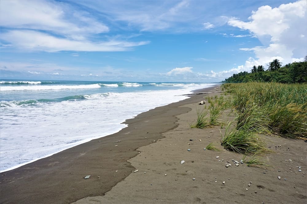 The shore at Playa Dominical in Costa Rica