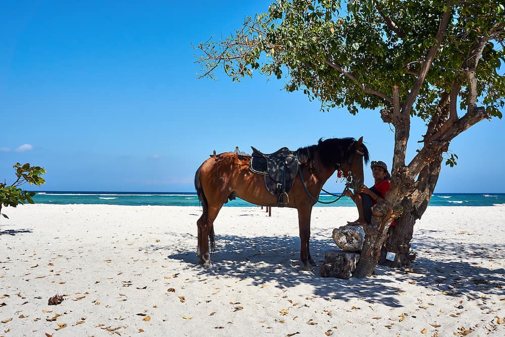 TRAWANGAN, INDONESIA - Man sits at the beach with horse next to him on gili trawangan