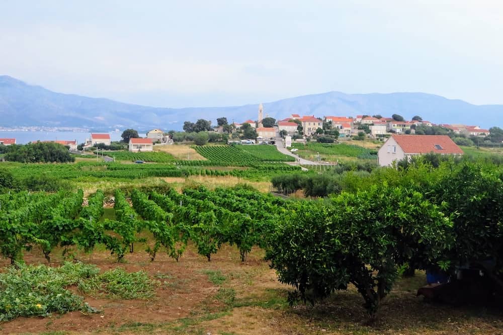 A view of a sprawling wine vineyard growing the local grk grapes with the small town of Lumbarda in the background, on Korcula island in Croatia.
