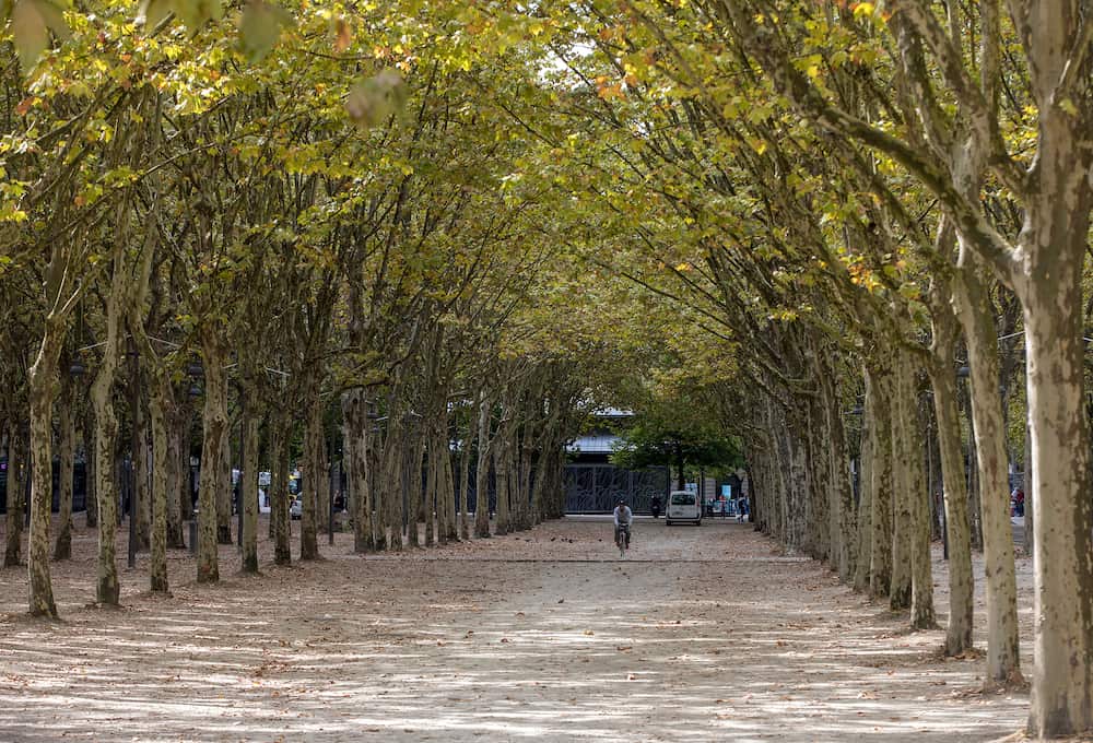 Bordeaux, France - Public garden along Place des Quinconces, Bordeaux France, with a canopy of green trees.