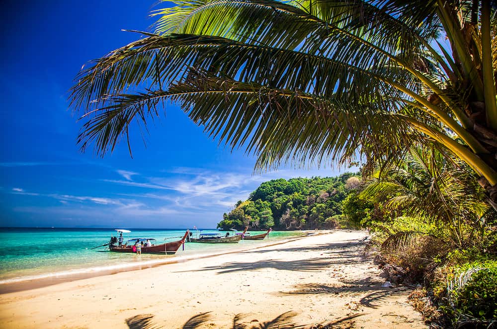 idillyic tropical hidden beach with white sand and palm trees on Bamboo island, Ko Phi Phi archipelago Thailand