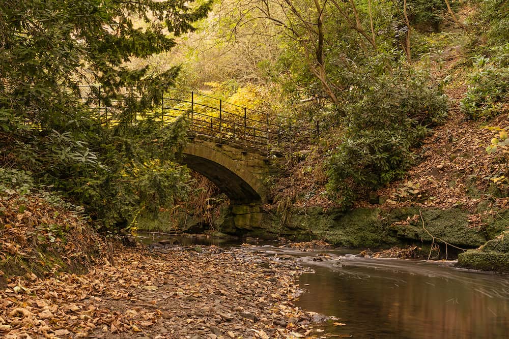 Jesmond Dene is a deep post-glacial valley providing a quiet haven just one mile from Newcastle Upon Tyne city centre