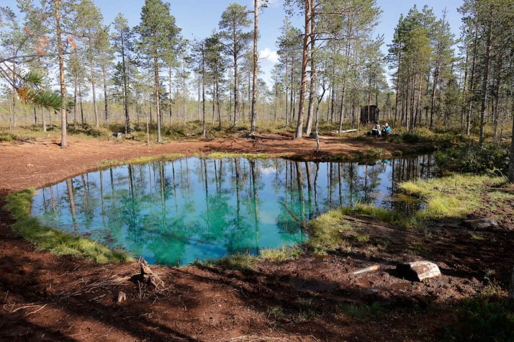 Arvidsjaur, Sweden - View of the Frog spring, Grodkallan in Swedish, with clear fresh water, located near Arvidsjaur in the Swedish province of Lappland.