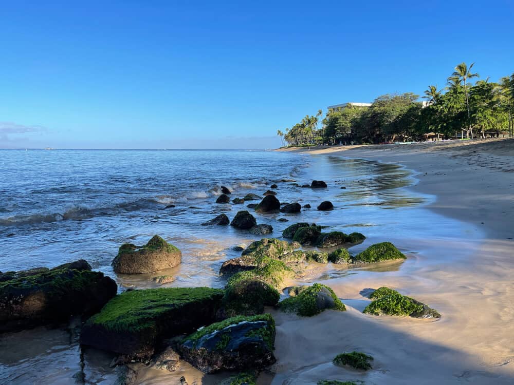 Ocean waves lap the golden shores and seaweed-strewn rocks of Ka'anapali Beach in Lahaina, Hawaii.