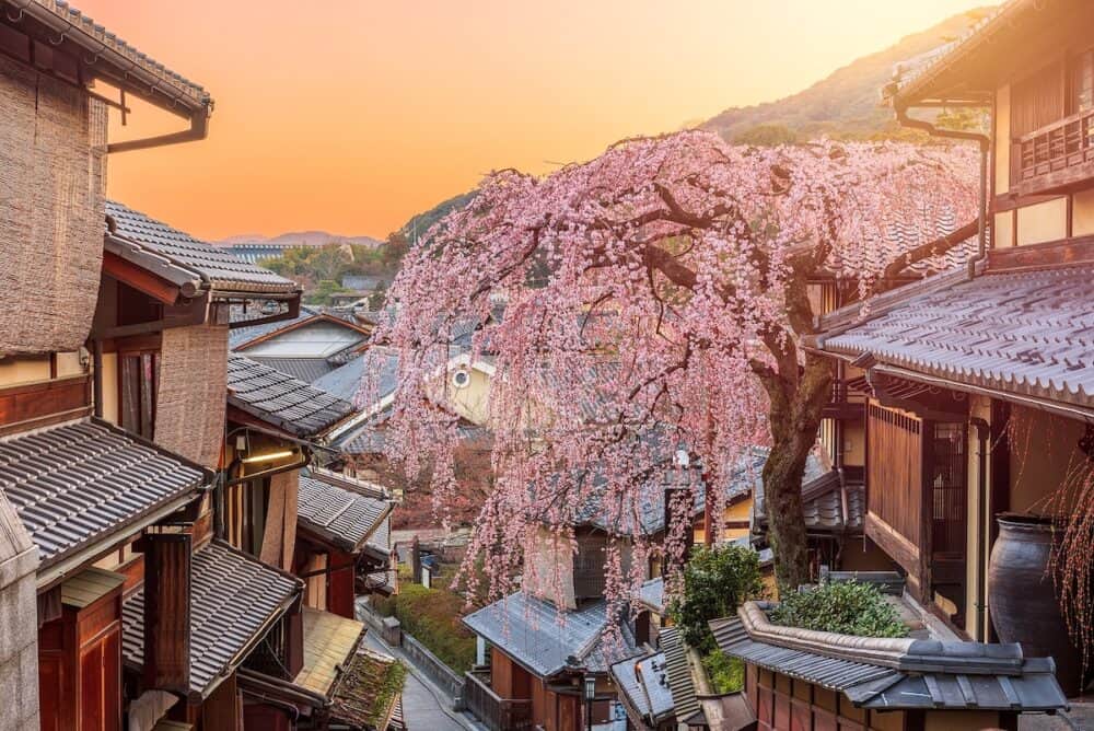 Kyoto, Japan springtime in the historic Higashiyama district art dawn.