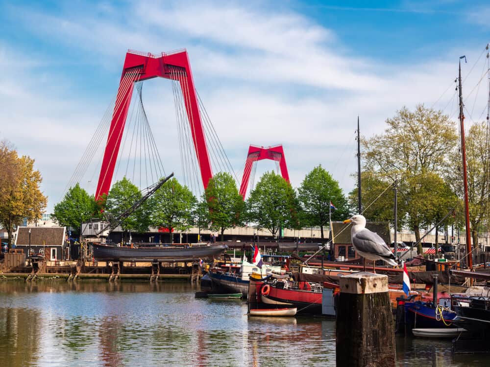Rotterdam, Netherlands - A view at the Willemsbrug, a cable-stayed red bridge with a total span of about 318 meters.