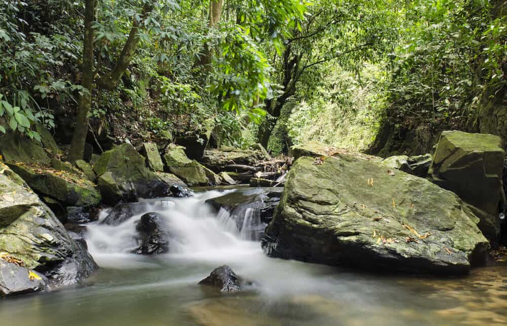 Sedim river undisturbed waterfall in nature forest.