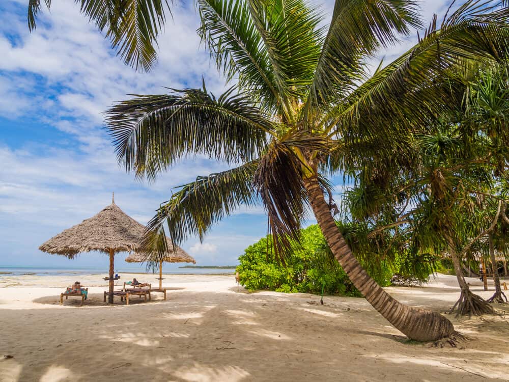 PONGWE ZANZIBAR - Beach next to one of the resorts in East Zanzibar Tanzania.