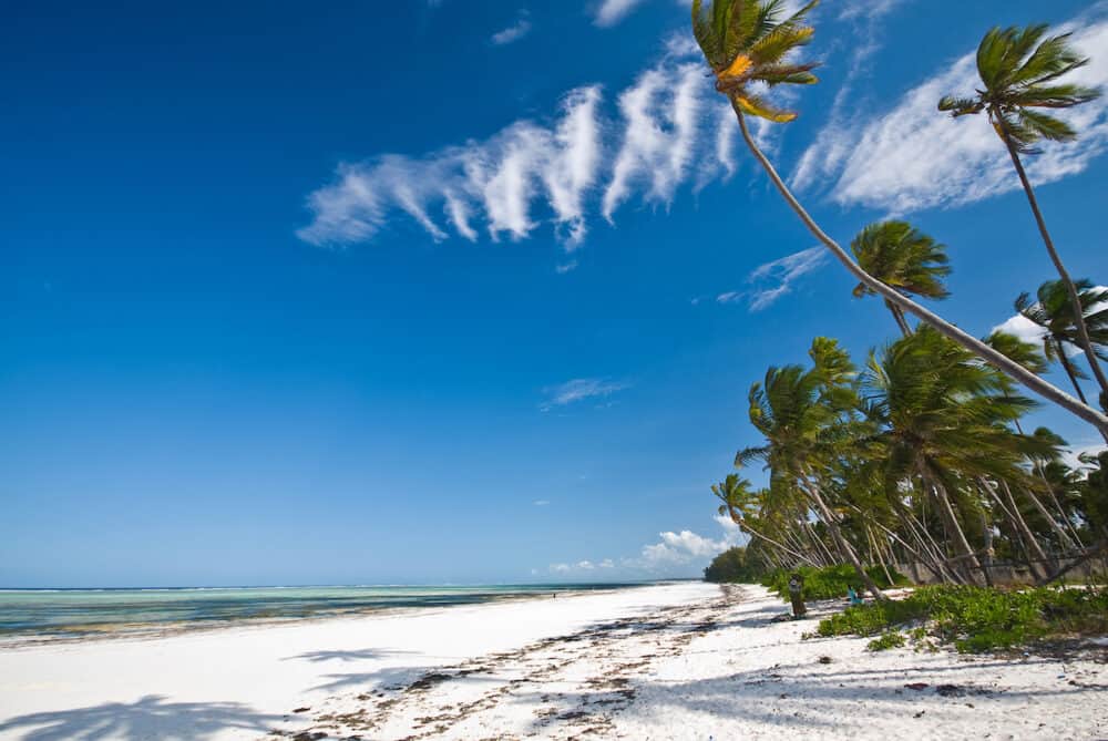 The white sand and the coconut trees in Jambiani, Zanzibar, Tanzania

