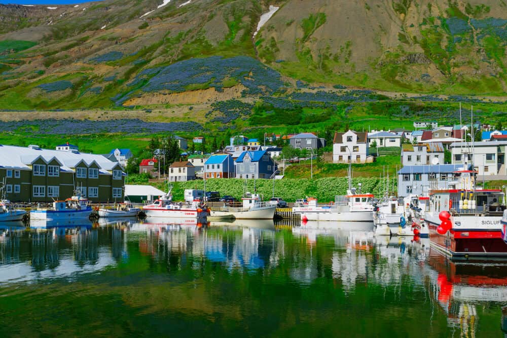 SIGLUFJORDUR ICELAND -View of the fishing port and town in Siglufjordur Northern Iceland