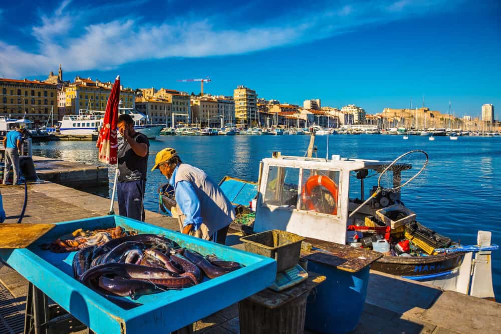 MARSEILLE, FRANCE - The morning fish market in the old port of Marseilles. Fishermen are laid out on the counter fresh catch