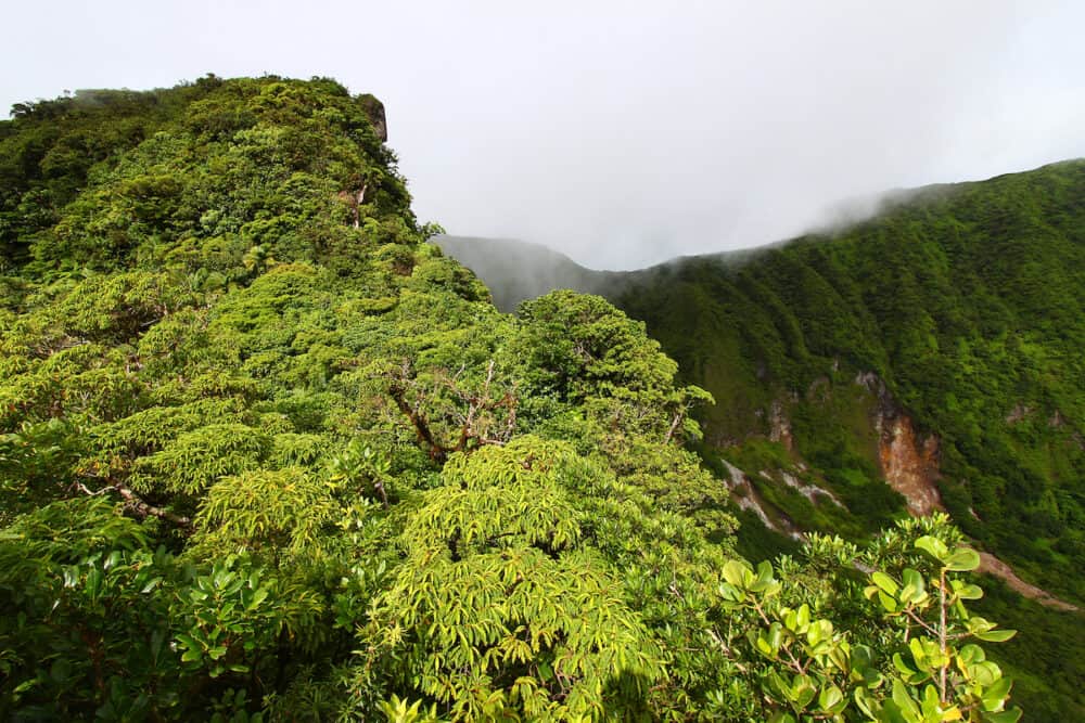 A cloudy rainforest peak in the highlands of Saint Kitts.
