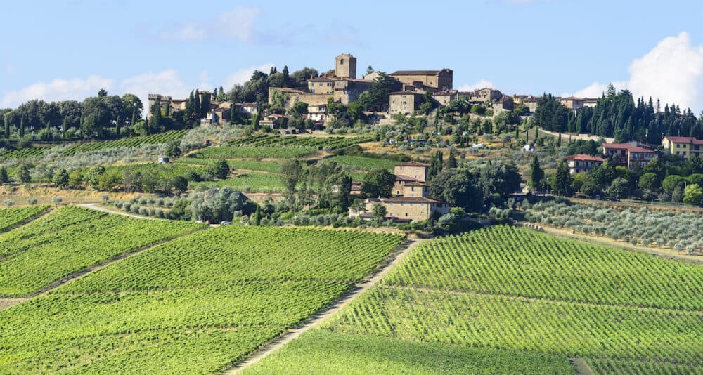 Landscape in Chianti (Florence Tuscany Italy) with vineyards at summer
