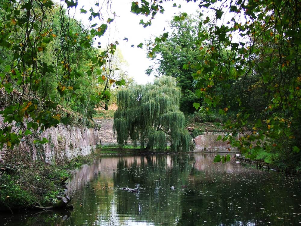 Weeping willow tree reflecting into a lake at the Citadelle Park in Lille France
