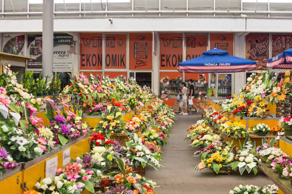 OSIJEK, CROATIA - Flowers Market in the Osijek Market, called Trznica, with various plants and flowers for sale. The city is the biggest economic hub of Slavonia region.