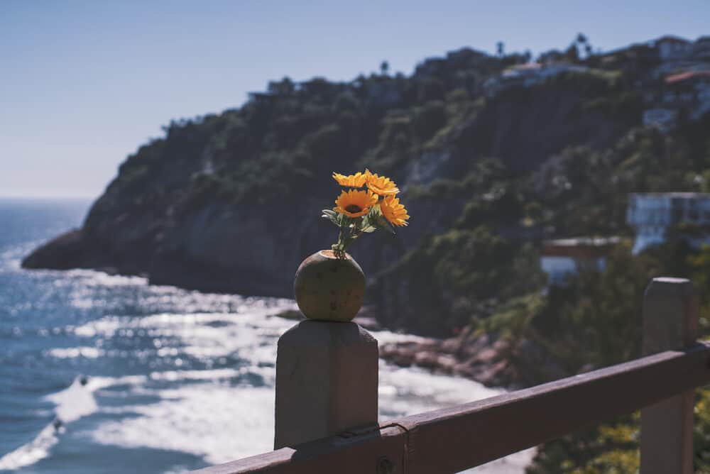 A decorative set with a coconut and artificial yellow sunflowers inserted in it standing on concrete support of wooden fence of a sunny tropical beach resort area in a defocused background