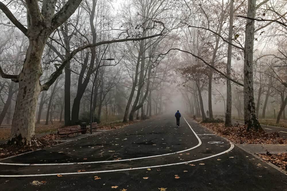 Walking through the city park on a foggy December morning in Szeged, Hungary.