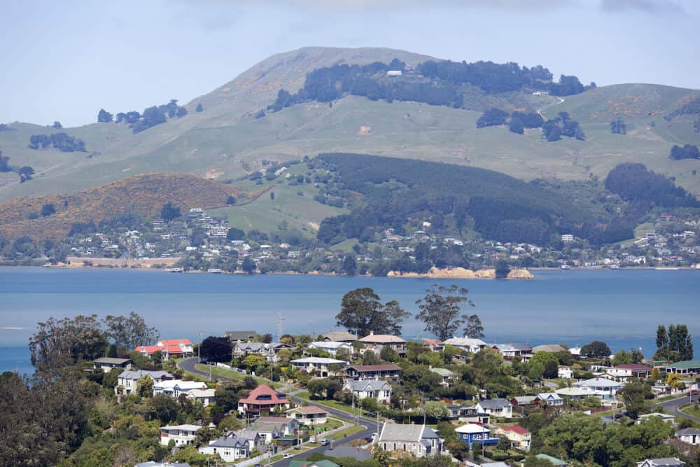 The view of Dunedin city suburb Port Chalmers with Portobello village on the other side of Otago Harbour (New Zealand).