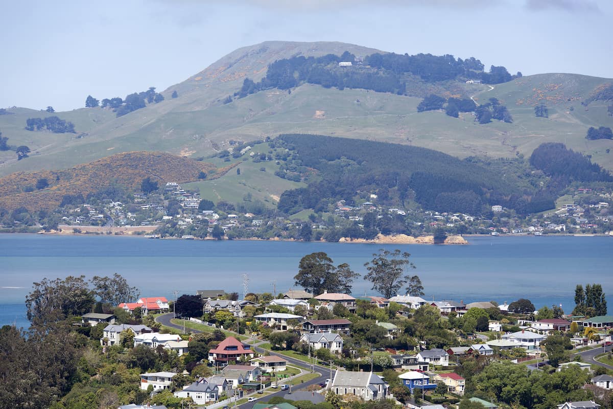 8 Areas To Stay in Dunedin in 2024 Where To Stay in Dunedin