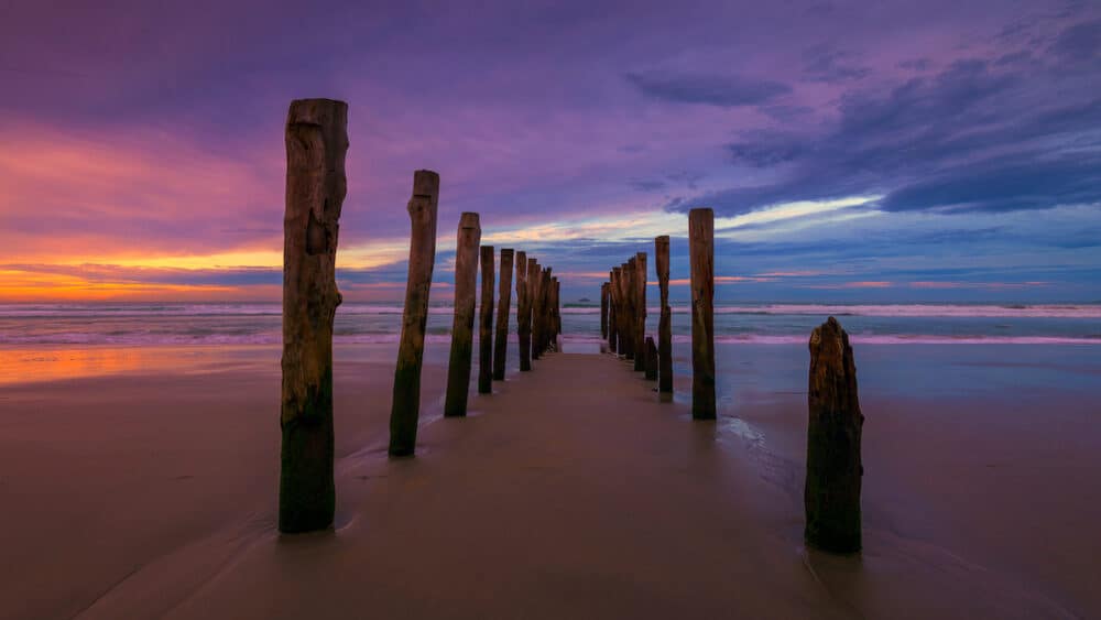 Sunrise with abandoned wooden piles at St Clair Beach, Dunedin, Otago, New Zealand.