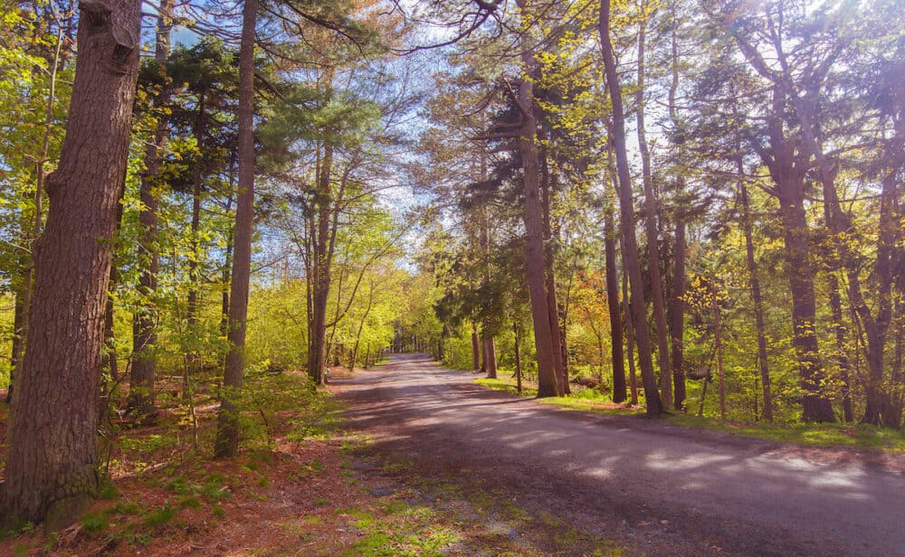 Pathway in a peaceful public city park (Point Pleasant Park Nova Scotia Canada)