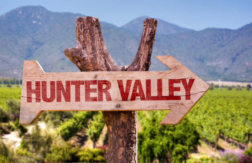 Hunter Valley wooden sign with winery background
