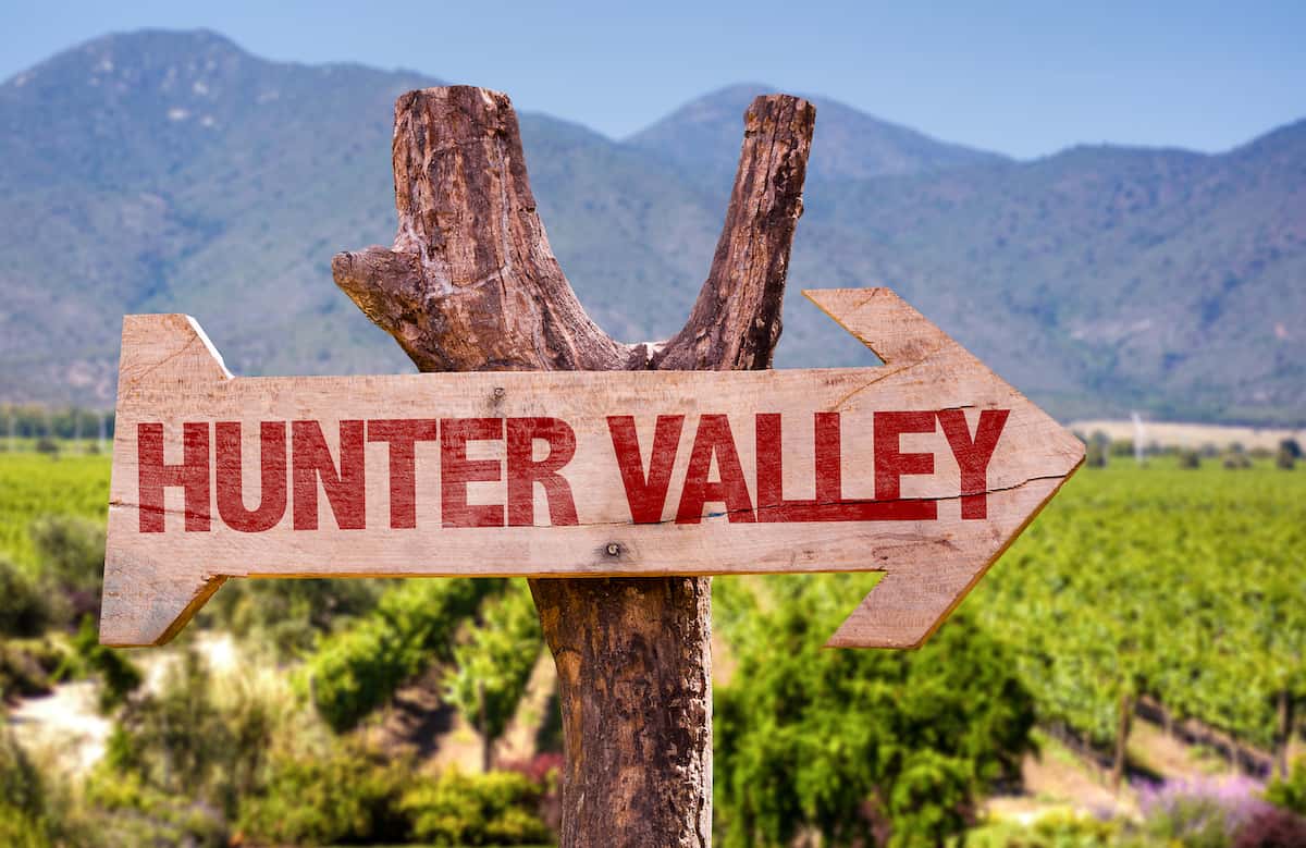 6 of the Best Hunter Valley Tours from Sydney 2023