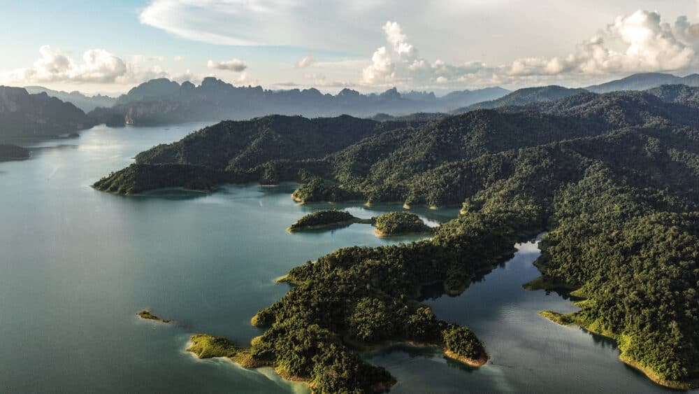 Aerial view of amazing mangrove forest and mountains of Phang nga bay, Thailand. Power of nature. Landscape. Real photo.