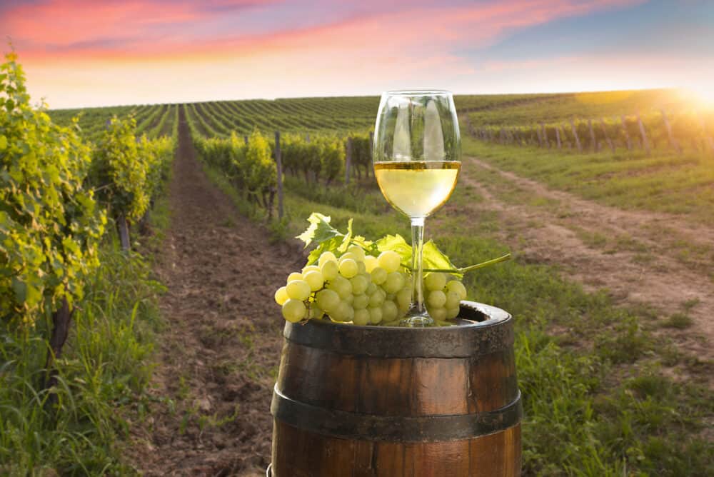 A fresh chilled glass of ice wine overlooking a vineyard during a Summer sunset