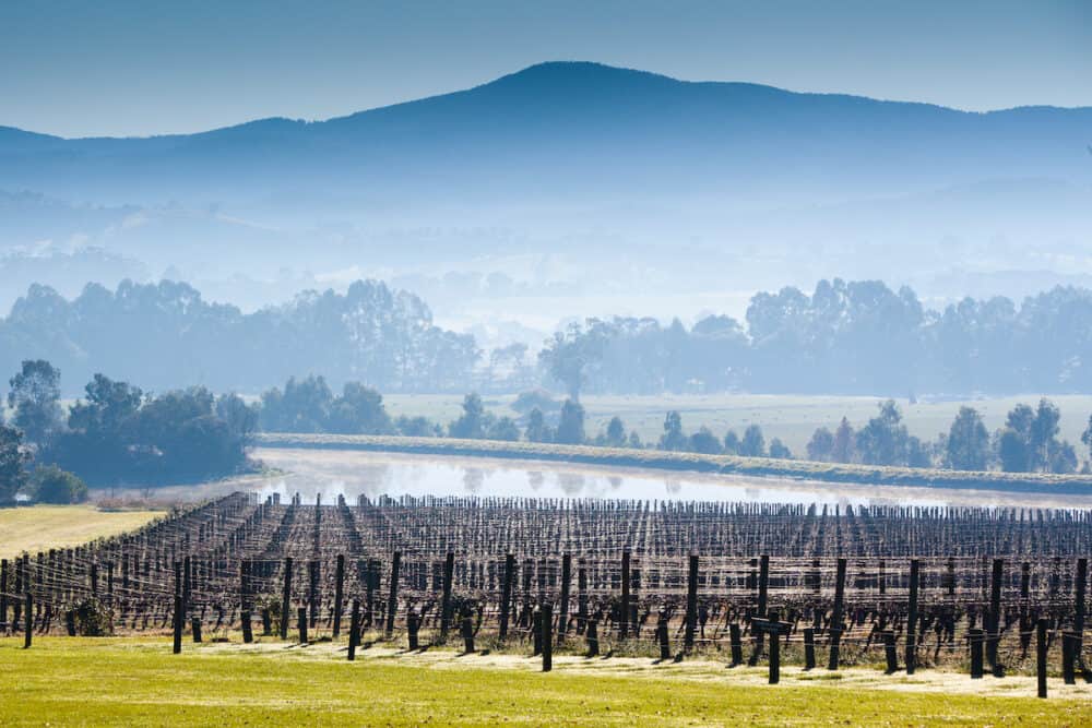 Domaine Chandon winery on a cold winter's morning in the Yarra Valley Victoria Australia