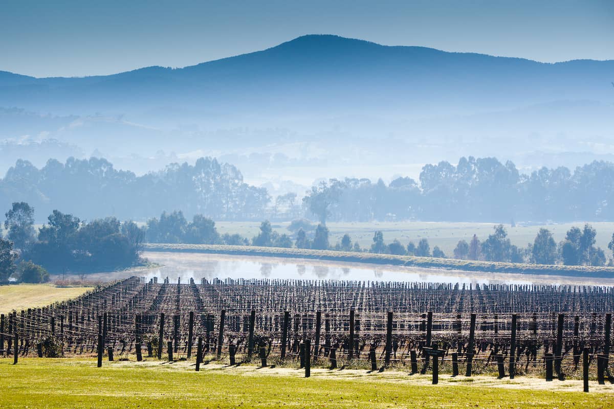 8 of the best Yarra Valley Tours from Melbourne 2024