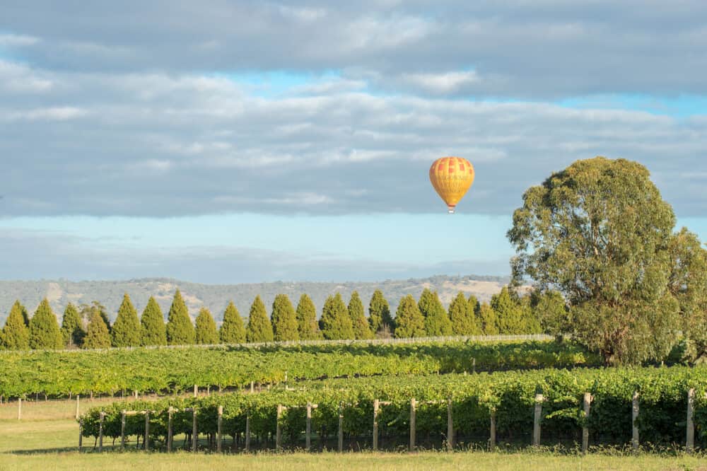Hot air balloon above vineyards on February 19, 2016 in Yarra Valley. Yarra Valley is one of Australia's premium wine growing regions.