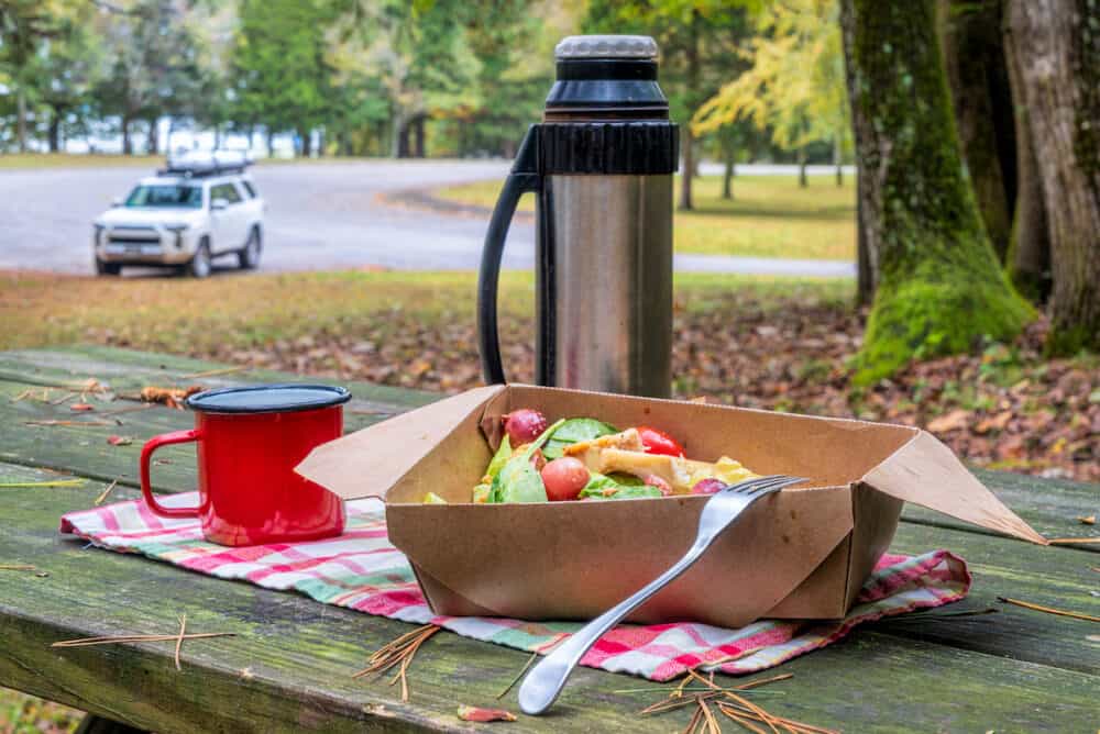 salad lunch with tea on a picnic table, forest parking with a SUV car in background, travel and driving concept