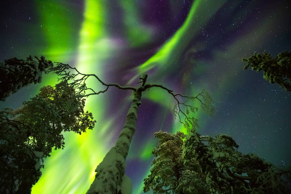 Polar Northern lights in Lapland Northern Finland green night sky