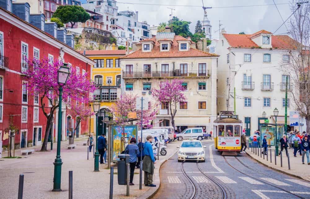 A typical old yellow vintage tram 28 on the street of Lisbon, Portugal. People wait at the tram stop. Colorful buildings and blooming pink trees.