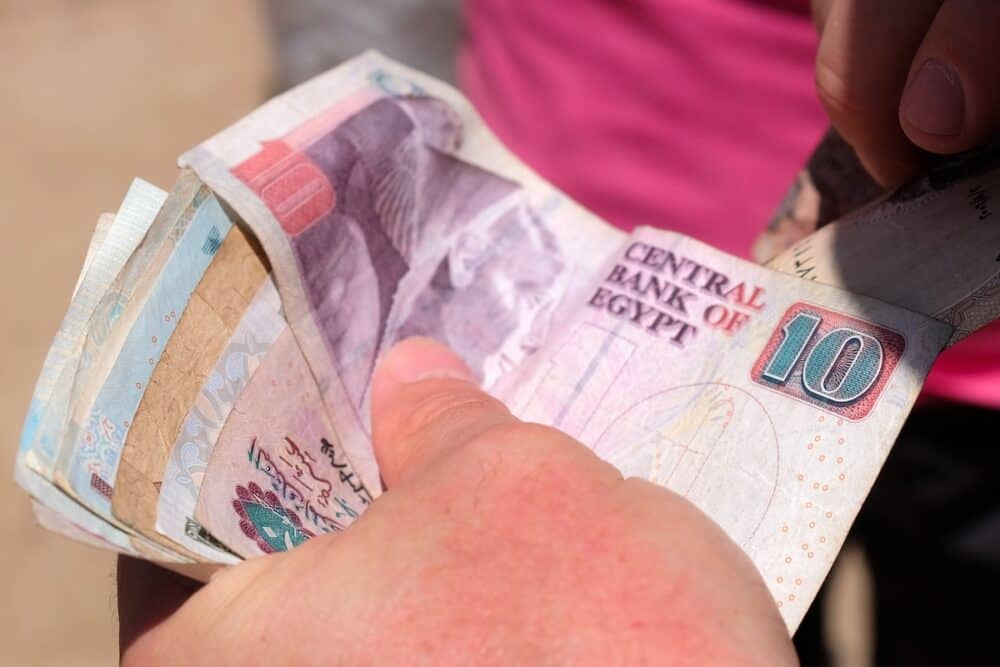 Close-up of human hand counting Egyptian pound banknotes .