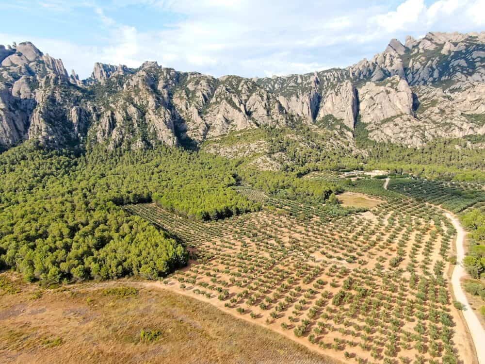 Aerial view of Montserrat mountain range in Catalonia, Spain wine and olive orchards in the evening golden hour.