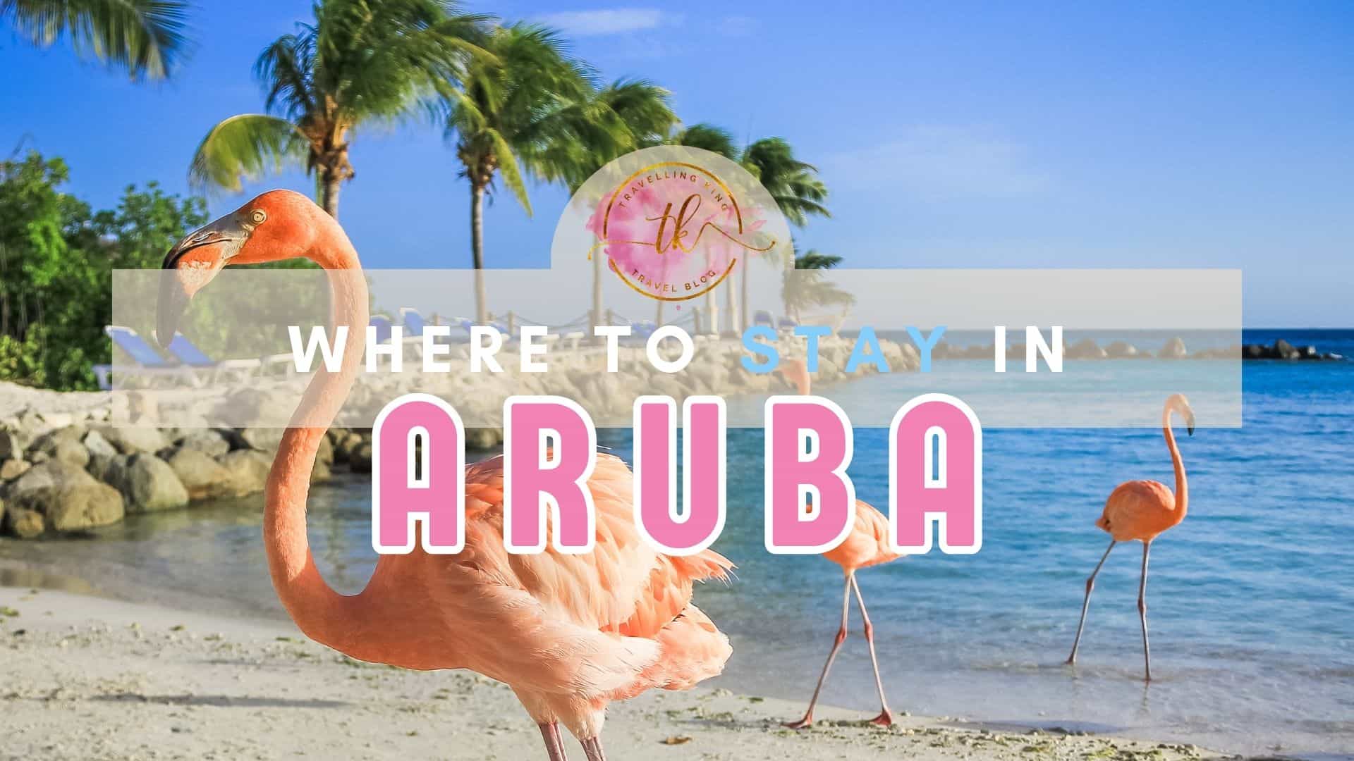 Where to Stay in Aruba [Best Places to Stay for 2024]