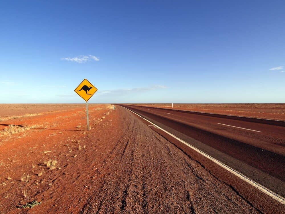 Kangaroo road sign along the Stuart Highway in the morning light. Northern South Australia.