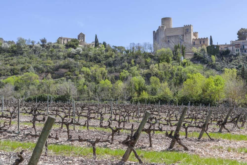 Landscape with vineyards in Penedes wine cava area and castle in Castellet,Catalonia,Spain.