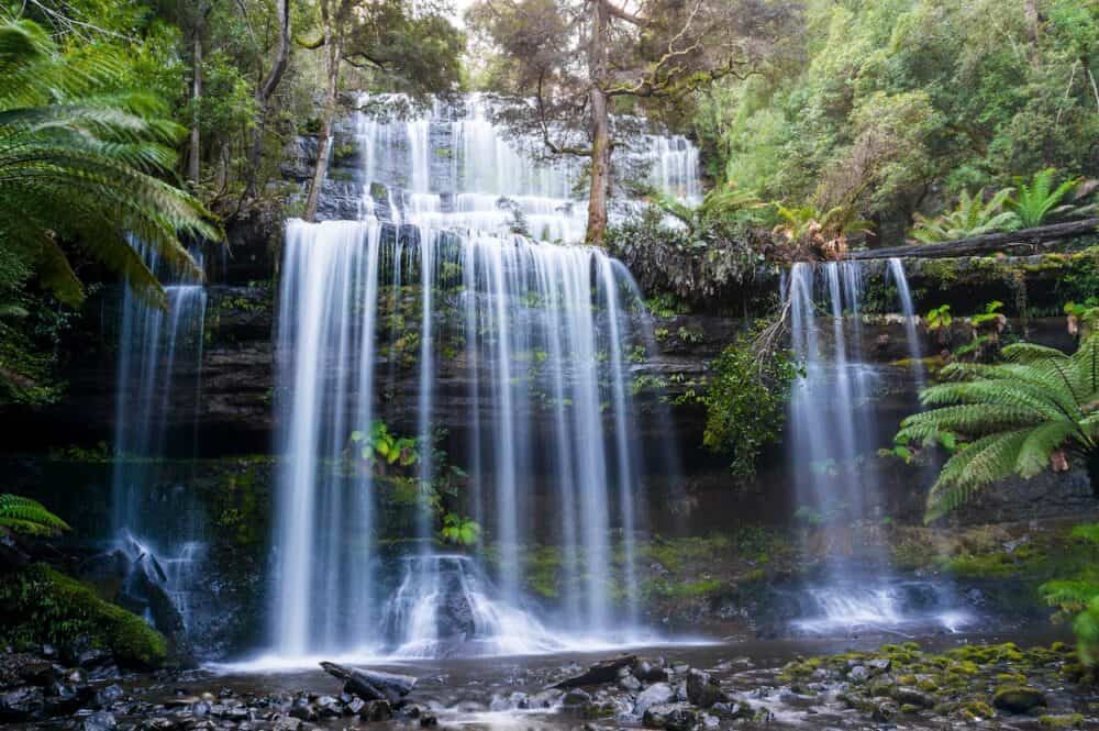 Beautiful waterfall in rainforest. Russell Falls, Mount Field National Park, Tasmania, Australia