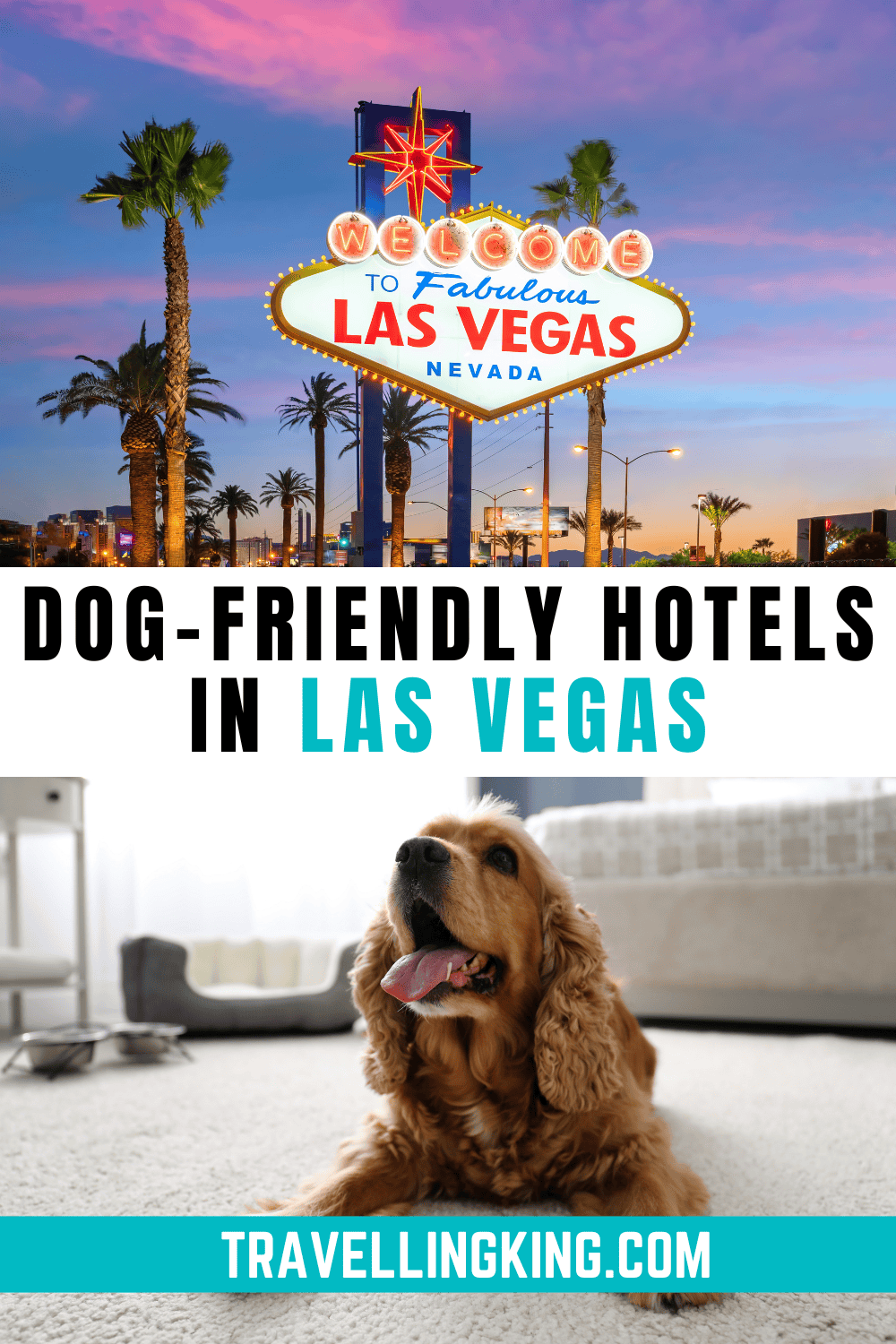 Best Dog-Friendly Hotels in Las Vegas: A Guide for Every Budget