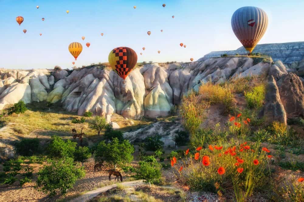 Hot air balloon flying over rock landscape at Cappadocia Turkey with flowers 