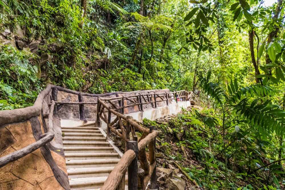 La Fortuna, Costa Rica. A view of stair leading to Rio Celeste in Costa Rica