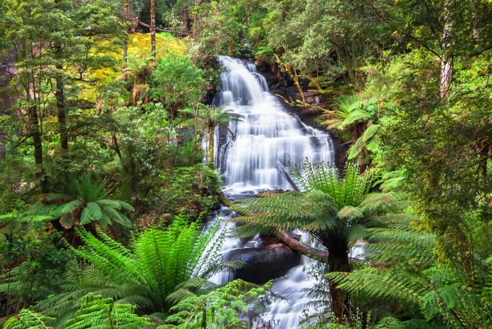 Triplet Falls in the Great Otway National Park, Victoria, Australia.